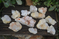 Natural White Cactus Spirit Quartz Clusters  x 12 From Boekenhouthoek, South Africa - Toprock Gemstones and Minerals 