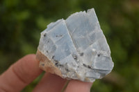 Natural New Sky Blue Calcite Specimens  x 35 From Spitzkop, Namibia