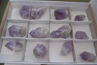 Natural Single Jacaranda Amethyst Crystals  x 12 From Zambia - Toprock Gemstones and Minerals 