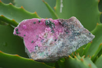 Natural Mixed Salrose & Chrysocolla Dolomite Specimens  x 24 From Kakanda, Congo - TopRock