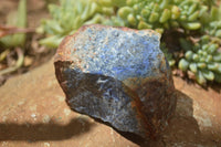 Natural Rare Blue Dumortierite Rough Specimens  x 6 From Mozambique - TopRock