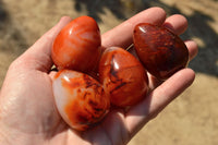 Polished Gorgeous Deep Red Carnelian Agate Eggs  x 12 From Madagascar - TopRock