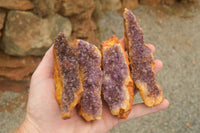 Natural Dark "Amethystos" Amethyst Clusters  x 15 From Kwaggafontein, South Africa - TopRock