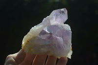 Natural Jacaranda Amethyst Clusters  x 3 From Mumbwa, Zambia - Toprock Gemstones and Minerals 