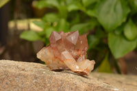 Natural Red Hematite Phantom Quartz Specimens  x 12 From Karoi, Zimbabwe - TopRock