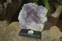 Natural Jacaranda Amethyst Clusters x 2 From Zambia