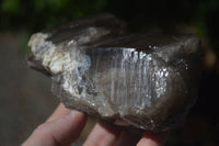 Natural Large Smokey Quartz Floater Crystal Formations  x 2 From Mulanje, Malawi - Toprock Gemstones and Minerals 