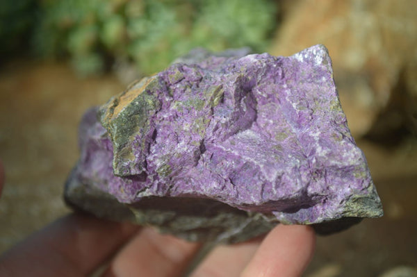 Natural Rough Stichtite Cobbed Specimens x 6 From Barberton, South Africa