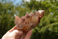 Natural Red Hematite Phantom Quartz Specimens  x 12 From Karoi, Zimbabwe - TopRock