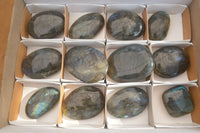 Polished  Flashy Labradorite Palm Stones  x 12 From Tulear, Madagascar