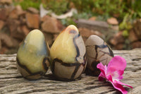 Polished Septaria Dragon's Eggs (Calcite & Aragonite) x 3 From Mahajanga, Madagascar - TopRock