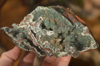 Natural Drusy Coated Ball Malachite On Dolomite Specimens  x 2 From Likasi, Congo