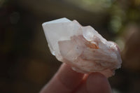 Natural Pink Pineapple Quartz Crystals  x 20 From Madagascar