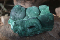 Natural Botryoidal Malachite Specimens  x 2 From Kambove, Congo