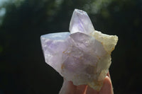 Natural Jacaranda Amethyst Clusters  x 3 From Mumbwa, Zambia - Toprock Gemstones and Minerals 