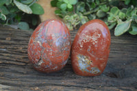 Polished Red Jasper Standing Free Forms  x 2 From Madagascar - Toprock Gemstones and Minerals 