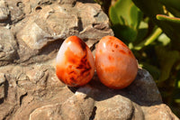 Polished Gorgeous Deep Red Carnelian Agate Eggs  x 12 From Madagascar - TopRock