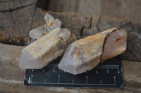 Natural Single Pineapple Quartz Crystals  x 35 From Antsirabe, Madagascar - Toprock Gemstones and Minerals 