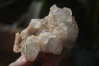 Natural Cascading Smokey Quartz Clusters x 3 From Luena, Congo