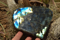 Polished Labradorite Standing Free Forms With Intense Blue Flash x 2 From Sakoany, Madagascar - TopRock