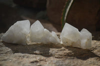 Natural Pineapple Candle Quartz Crystals  x 35 From Madagascar