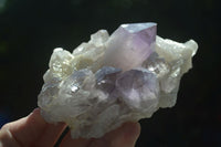 Natural Jacaranda Amethyst Clusters  x 3 From Mumbwa, Zambia - Toprock Gemstones and Minerals 