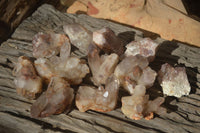 Natural Hematoid Quartz Crystals x 12 From Karoi, Zimbabwe