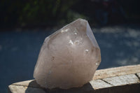 Natural Large Smokey Quartz Floater Crystal Formations  x 2 From Mulanje, Malawi - Toprock Gemstones and Minerals 