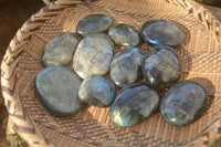 Polished  Flashy Labradorite Palm Stones  x 12 From Tulear, Madagascar