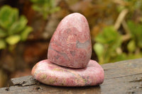 Polished Pink Rhodonite Standing Free Forms  x 6 From Madagascar - TopRock