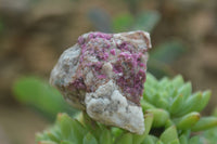 Natural Mixed Salrose & Chrysocolla Dolomite Specimens  x 24 From Kakanda, Congo - TopRock