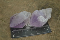 Natural Single Jacaranda Amethyst Crystals  x 12 From Zambia - Toprock Gemstones and Minerals 