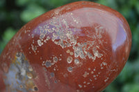 Polished Red Jasper Standing Free Forms  x 2 From Madagascar - Toprock Gemstones and Minerals 