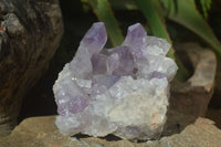 Natural Jacaranda Amethyst Clusters x 2 From Zambia