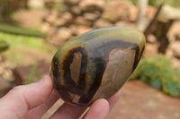 Polished Septaria Dragon's Eggs (Calcite & Aragonite) x 3 From Mahajanga, Madagascar - TopRock