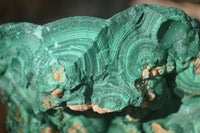 Natural Botryoidal Malachite Specimens  x 2 From Kambove, Congo