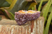 Natural Dark "Amethystos" Amethyst Clusters  x 24 From Kwaggafontein, South Africa - TopRock