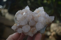 Natural Spirit Amethyst Quartz Clusters x 3 From Boekenhouthoek, South Africa