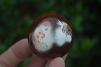 Polished Vibrant Carnelian Agate Spheres  x 5 From Madagascar - Toprock Gemstones and Minerals 