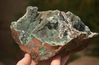 Natural Drusy Coated Ball Malachite On Dolomite Specimens  x 2 From Likasi, Congo