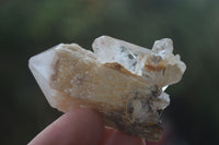 Natural Single Pineapple Quartz Crystals  x 35 From Antsirabe, Madagascar - Toprock Gemstones and Minerals 