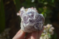 Natural Sugar Amethyst Clusters  x 4 From Solwezi, Zambia