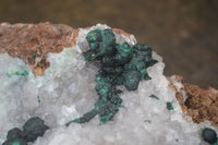 Natural Rare Ball Malachite On Drusy Quartz & Dolomite Matrix  x 1 From Kambove, Congo - Toprock Gemstones and Minerals 