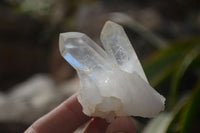 Natural Pineapple Candle Quartz Crystals  x 35 From Madagascar