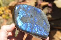 Polished Labradorite Standing Free Forms With Intense Blue Flash x 2 From Sakoany, Madagascar - TopRock