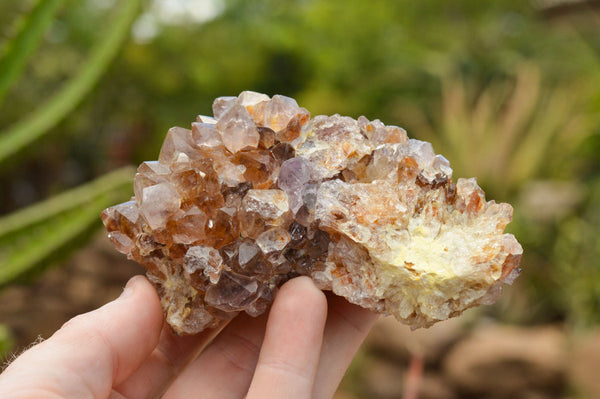 Natural Mixed Selection Of Spirit Quartz Clusters  x 12 From Boekenhouthoek, South Africa - TopRock