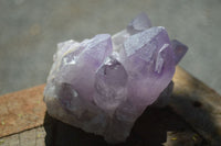 Natural Jacaranda Amethyst Clusters  x 3 From Mumbwa, Zambia - Toprock Gemstones and Minerals 