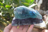 Polished Watermelon Fluorite Slices  x 2 From Uis, Namibia