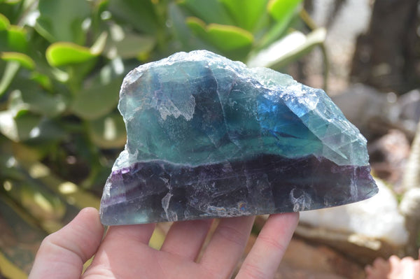 Polished Watermelon Fluorite Slices  x 2 From Uis, Namibia