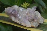 Natural Jacaranda Amethyst Cluster x 1 From Mumbwa, Zambia - TopRock